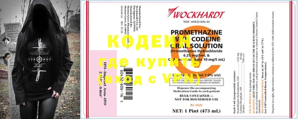 прущие грибы Карпинск