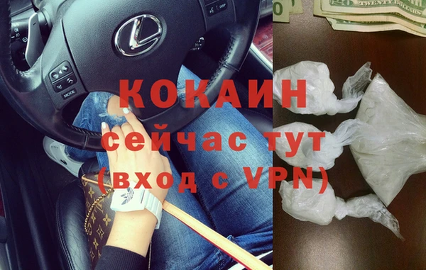 прущие грибы Карпинск