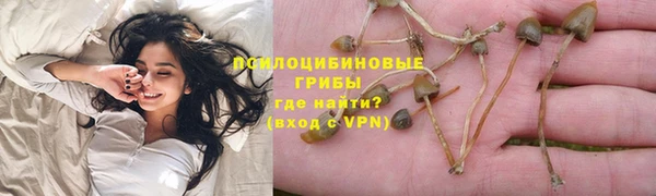 амф Касимов