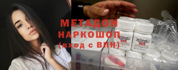 прущие грибы Карпинск