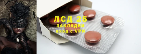 прущие грибы Карпинск