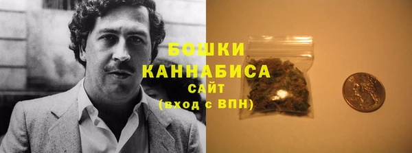 прущие грибы Карпинск