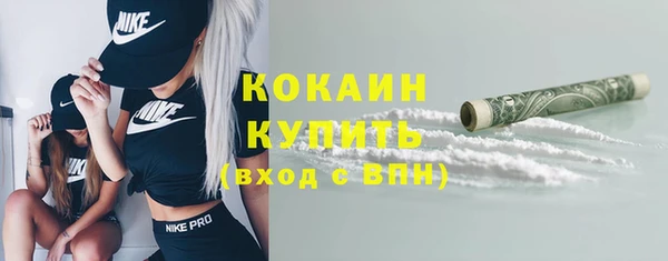 прущие грибы Карпинск