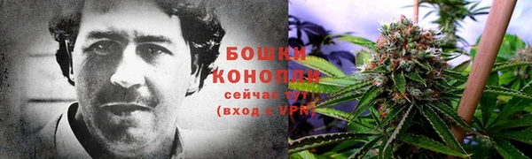 амф Касимов