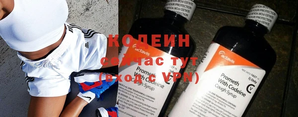 прущие грибы Карпинск