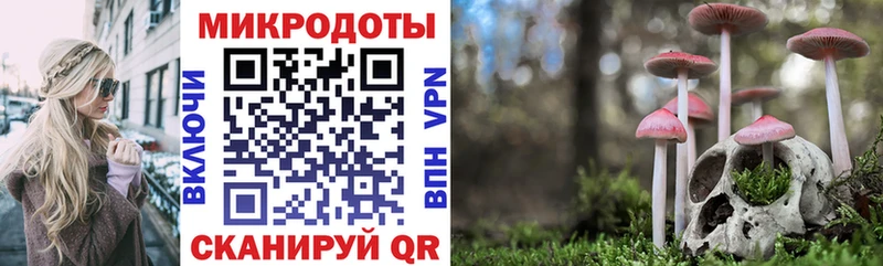 Галлюциногенные грибы Magic Shrooms  Купить закладки  Моздок 